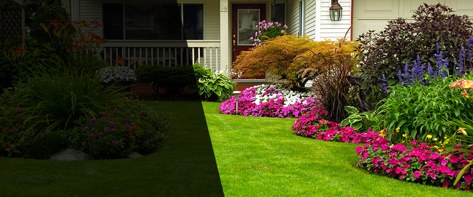 Swansea Landscapers