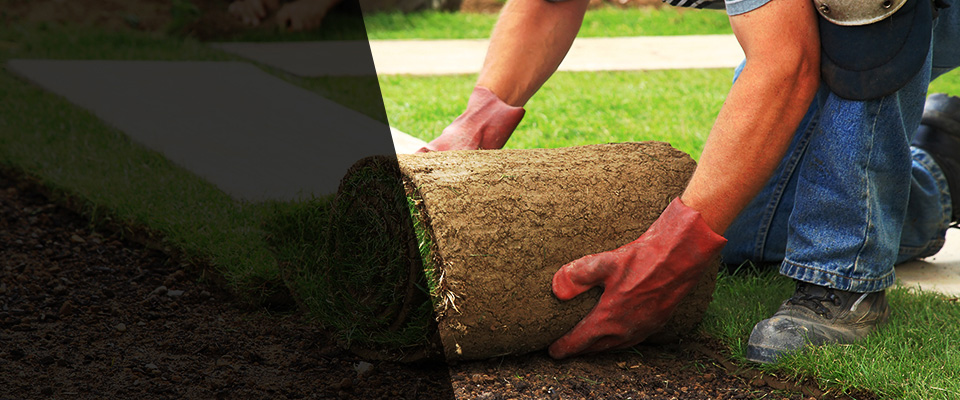 Swansea Landscapers